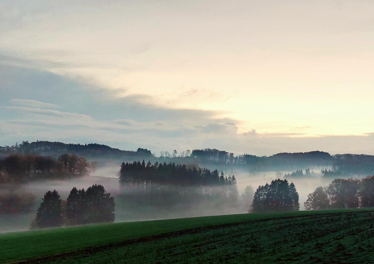 Kleines Haus Mitten In Der Natur Mit Eigener Terrasse Und Sonnenbalkon Halver エクステリア 写真